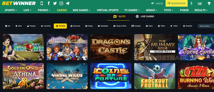 betkubi online casino